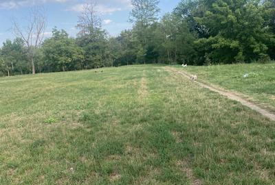 Spațiu comercial, în Mănăstirea Humorului - 1