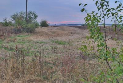 Spațiu comercial, în Podu Broșteni - 2