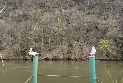 Spațiu comercial, în Orșova - 3