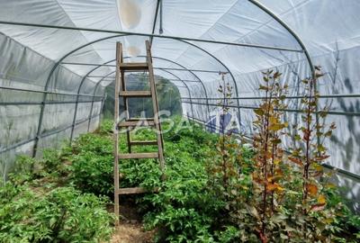 Casă individuală cu 4 camere cu Teren 4037 Mp în Samarinești - 13