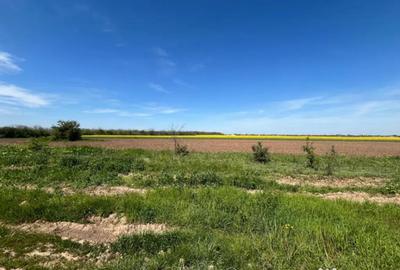 Teren în Coșoveni - 1