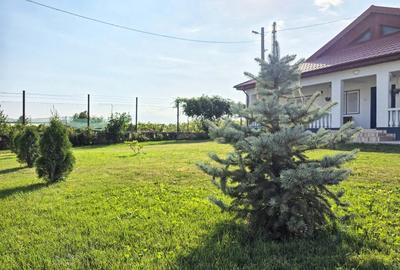 Casă individuală cu 15 camere cu Teren 8000 Mp în Ovidiu - 2