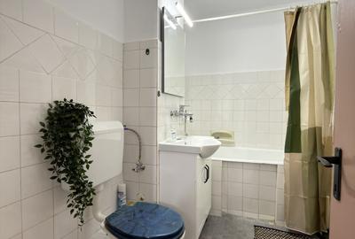 Apartament cu 2 camere decomandat, mobilat în Bucovina - 9