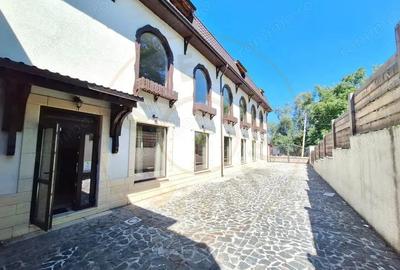 Oportunitate-Cladire comerciala HoReCa in Domnesti-Arges - 1