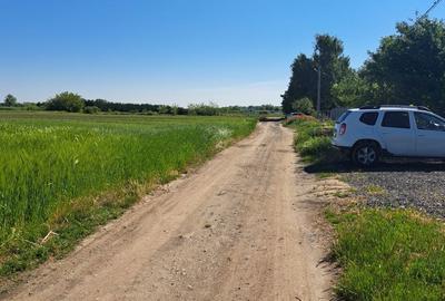 Teren de 1000 mp, în Sânmihaiu Român - 2