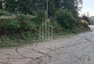 Casă cu Teren 250 Mp în Câineni - 3