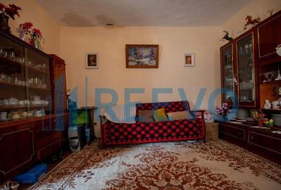 Casa si teren 3365mp Sascut - 9