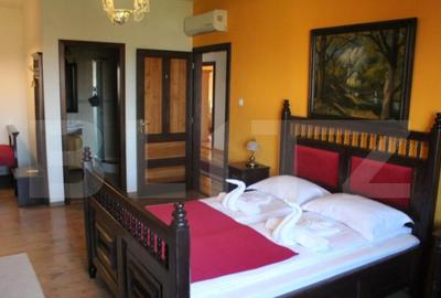 Conac de vanzare 7 camere cu bai proprii, crama, ciubar ? - 4