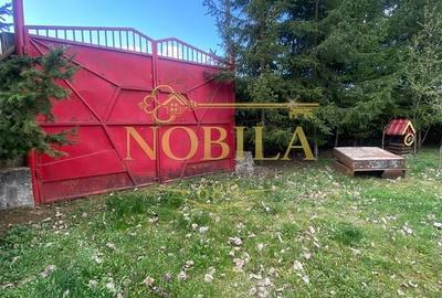 Casă cu 10 camere cu Teren 1332 Mp în Mănăstirea Cașin - 13