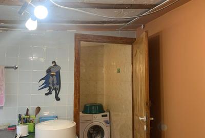 Casă individuală cu 3 camere cu Canalizare în Ultracentral - 4