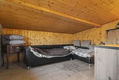 Comision 0% 2 case Vila + Spatiu Comercial + Curte Proprie - 30