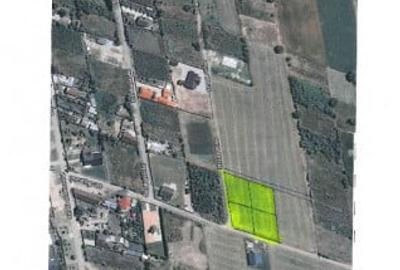 Teren de 560 mp, în Central