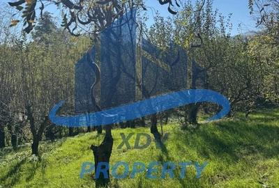 Teren in zona turistica Porumbacu de Sus - 7