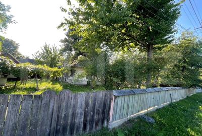 Casa + teren intravilan (5.916mp) -Fantana Mare - 4