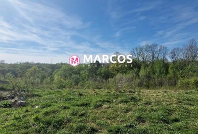 Teren Construcții extravilan de 2360 mp, în Calea Caransebeșului - 3