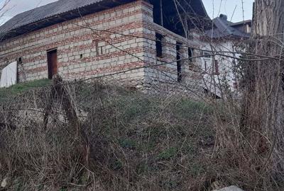 Vand constructie in zona montana ,Corbi ,jud Ag - 5