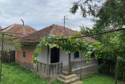 Casă cu 2 camere în Vârvor - 3