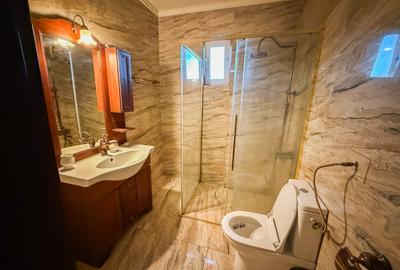 Casa spatioasa cu livada si sere- Ronat, Timisoara - 20