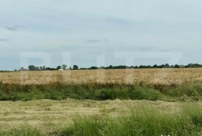 Teren de 390000 mp, în Central - 1