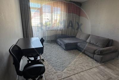 Apartament cu 2 camere de vanzare in zona Calea Severinului - 14