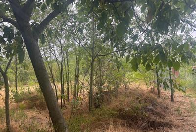 Casa recent renovata, 2023 mp teren, comuna Leu , RATE !!! - 1