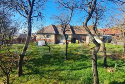 Teren de 2989 mp, în Bună Ziua - 3