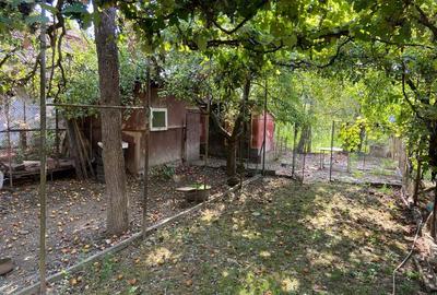 Casa de vanzare Ciumbrud Casa de vanzare Ciumbrud - 3