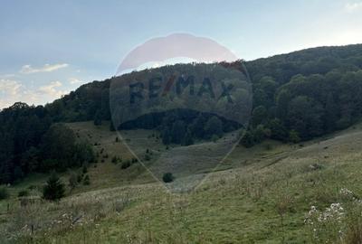 Teren agricol intravilan de 2050 mp, în Poiana Brașov - 2