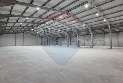 Spațiu industrial, de 4,113 mp, în Balotești - 2