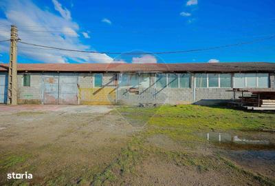 Spațiu comercial, de 820 mp, în Girișu de Criș - 18