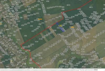 Teren de 28400 mp, în Vasilați - 1