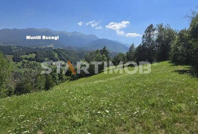 Teren de 3296 mp, în Bran