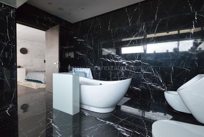 HERASTRAU PENTHOUSE LE CLUB  VEDERE PANORAMICA PARC | PARCARE - 11