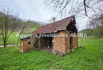Teren de 9500 mp, în Nojag - 8