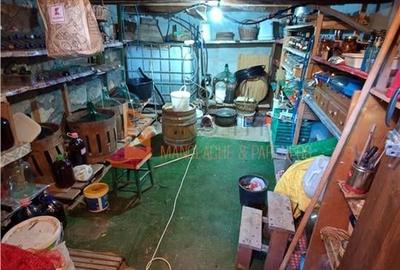 EXCLUSIVITATE! Casa+teren si cabana de lemn zona Naeni - 21