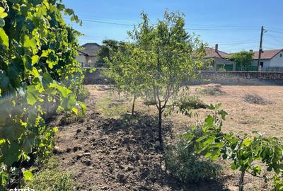 Teren de 3000 mp, în Lumina - 4