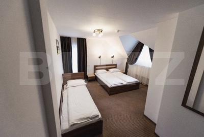 Spațiu comercial, în Vișeu de Jos - 13