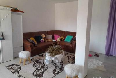 Casă individuală cu 5 camere cu Teren 3424 Mp în Central - 2