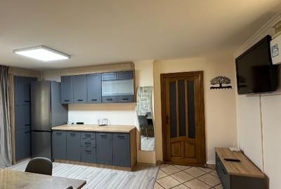 Apartament Craiovita Noua - 10