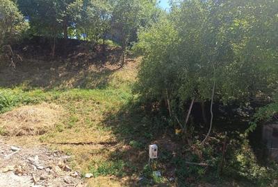 0 COMISION  Teren cu potențial și liniște in Corusu - 12