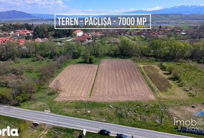 Teren de 6870 mp, în Totești - 6