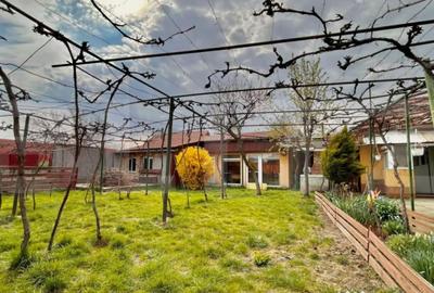 Casă cu 4 camere cu Teren 480 Mp în Central - 8