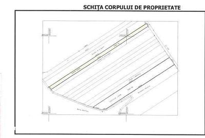 Spațiu comercial, în Afumați - 3