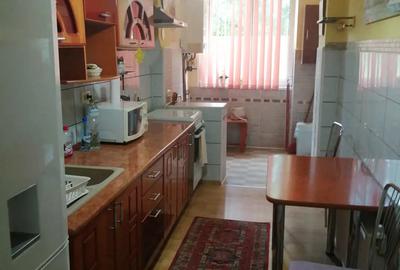 Apartament spa?ios la casa cu o camera la curte comuna, zona garii. - 4