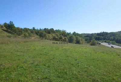 Teren de 8757 mp, în Luncoiu de Sus - 4