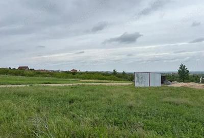 Teren 500 mp Paleu - 3