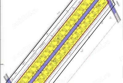 Intravilan in zona metropolitana Bucuresti (Domnesti-Teghes) - 2