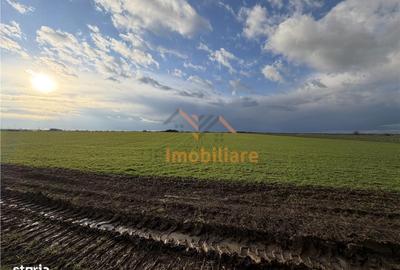 Spațiu comercial, în Nojorid - 2