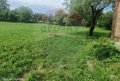 Casă cu 3 camere cu Teren 5472 Mp în Breb - 1