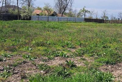 Casă cu 5 camere în Talpa - 5